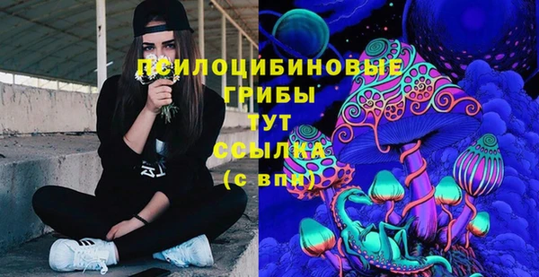 ECSTASY Алзамай