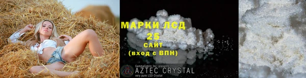 ECSTASY Алзамай
