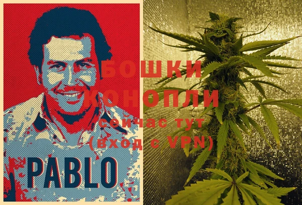 PSILOCYBIN Алексин