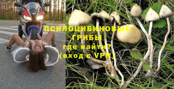 первитин Протвино