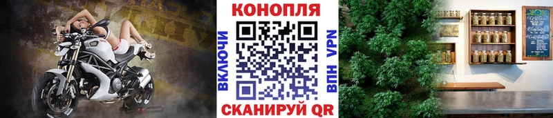 где купить наркотик Межгорье Шишки марихуана Bruce Banner